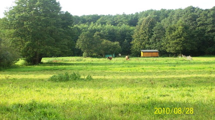 Przebrno - Krynica Morska - Mierzeja Wiślana
