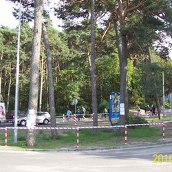 Stegna